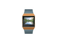 Смарт часовници Fitbit Ionic - Slate Blue/Burnt Orange