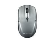 Мишки Canyon CNE-CMSW03DG