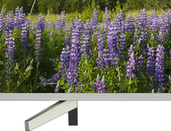 Телевизори Sony KD-49XF7077