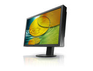 Монитори Eizo FlexScan S2233W