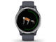 Смарт часовници Garmin Venu Silver Stainless Steel/Granite Blue