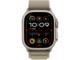 Titanium Case w Olive Alpine Loop - Small