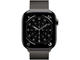Смарт часовници Apple Watch Series 11 GPS + Cellular 46mm Slate Titanium Case with Slate Milanese Loop - M/L