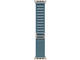 Natural Titanium Case / Light Blue Alpine Loop – S