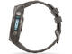 Смарт часовници Garmin fēnix® 9 - 51 мм - Titanium с Pebble Grey силиконова каишка