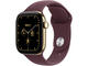 Titanium, Radiant Gold, Sport Band,Burgundy, M/L